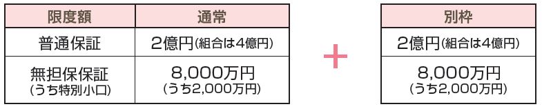 信用保証の特例の１（普通保証等の別枠設定）